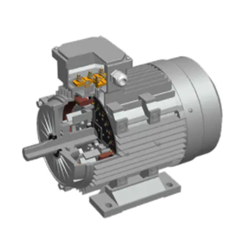 Asynchronous Start Permanent Magnet Synchronous Motor